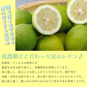 63.国産　無農薬瀬戸内レモン　大きめ40〜45個 Amazon.co.jp: 希望の島 無農薬レモン サイズ込 国産 愛媛 中島